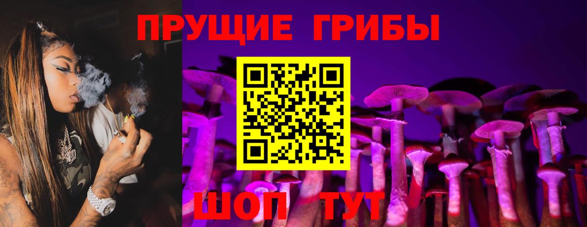 Белорецк  Псилоцибиновые грибы Psilocybe  Галлюциногенные грибы Psilocybe  Вход с VPN 